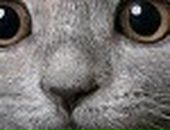 Богдана Форостян фотография #3 (источник - https://vk.com/id132615657)