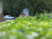 Саша Серый фотография #6 (источник - https://vk.com/id26457763)