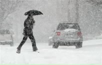 Фотография Савин Алексей