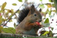 Фотография Новиковой Натальи