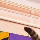 Сергій Стасюк фотография #26 (источник - https://vk.com/id154474535)