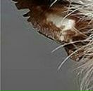 Ваня Садохін фотография #41 (источник - https://vk.com/id152568009)