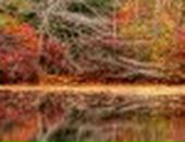 Андрій Тимчишин фотография #11 (источник - https://vk.com/id20835077)