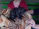 Максім Войтенко фотография #2 (источник - https://vk.com/id57289629)