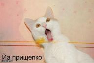 Фотография Федорова Федора