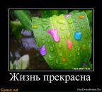 Фотография Мартынова Александра