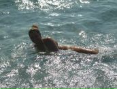 Віра Бойківчанка фотография #21 (источник - https://vk.com/id94822740)