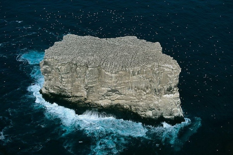 Ирина Мальцева фотография #36