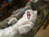 Фотография Сналиной Натальи