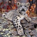 Владік Глинюк фотография #16 (источник - https://vk.com/id159451917)