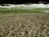 Андрій Микитин фотография #6 (источник - https://vk.com/id71470498)