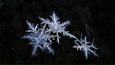 Міша Кравців фотография #6 (источник - https://vk.com/id72986635)