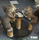 Мішка Лендєл фотография #15 (источник - https://vk.com/id194505195)