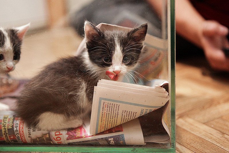 Иван Федоров фотография #39