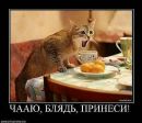 Фотография Александровича Вадима