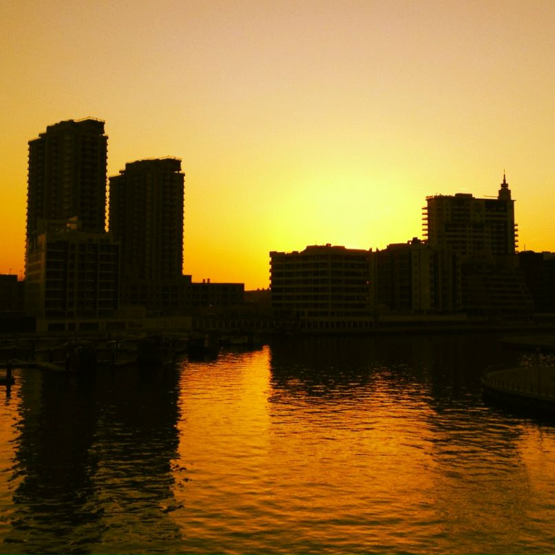 Дмитрий Молеганов фотография #6