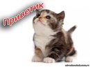 Тіна Кароль фотография #10 (источник - https://vk.com/id168345197)