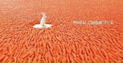 Сергій Базавляк фотография #43 (источник - https://vk.com/id63232247)