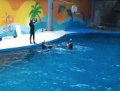 Murat Uzun фотография #18 (источник - https://vk.com/id1846906)