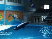 Murat Uzun фотография #12 (источник - https://vk.com/id1846906)