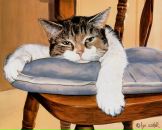 Фотография Владимировны Яны