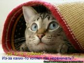 Фотография Торопов Сергей