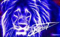 Фотография Боженко Алёны