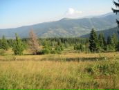 Яра Іванчук фотография #44 (источник - https://vk.com/id85712890)