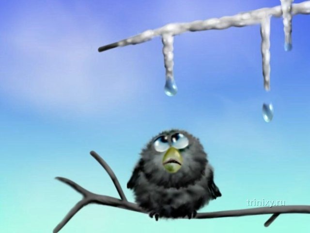 Антон Васильев фотография #30