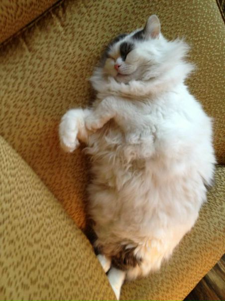 Trouble City фото №12