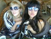 Фотография  