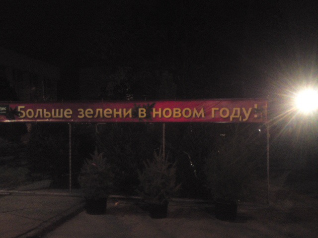 Саша Орищенко фотография #3