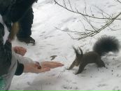 Інна Урдейчук фотография #24 (источник - https://vk.com/id41893511)