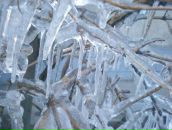 Катерина Мілютенко фотография #42 (источник - https://vk.com/id13031530)