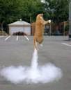 Міша Фетько фотография #16 (источник - https://vk.com/id157059975)