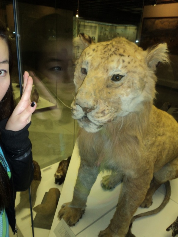 Уган Дэлгэр фотография #40