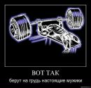 Александр Мироваев фотография #39 (источник - https://vk.com/id5638723)