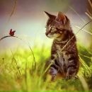 Фотография Скобиной Анастасии