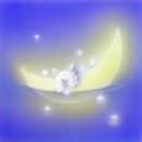 Фотография Khanov Misha