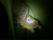 Фотография Ягоды Максима