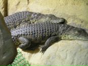 Фотография Жук Елены