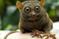 Віра Скопюк фотография #35 (источник - https://vk.com/id12874676)