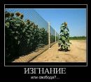 Міша Федорняк фотография #23 (источник - https://vk.com/id24695832)