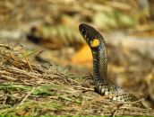 Іван Комарницький фотография #30 (источник - https://vk.com/id14824034)