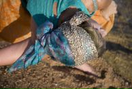 Фотография Зайцевой Натальи