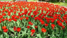 Марія Васюта фотография #27 (источник - https://vk.com/id14027663)