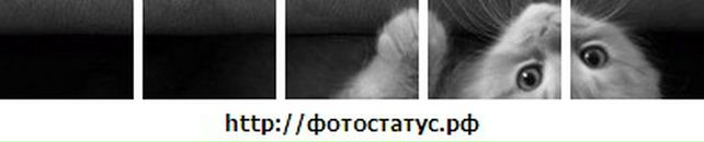 Люда Нагірняк фотография #48 (источник - https://vk.com/id86556399)