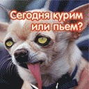 Іван Безмощук фотография #12 (источник - https://vk.com/id77739446)