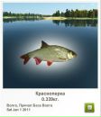 Ігор Брончук фотография #10 (источник - https://vk.com/id100489490)