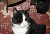 Фотография Черепановой Инны